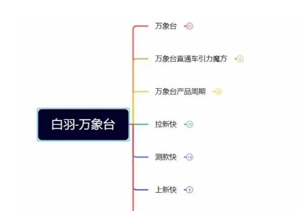 白羽·直引万搜索全篇，从0-1，多个类目实操经验总结付费-乐码云集