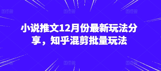 小说推文12月份最新玩法分享，知乎混剪批量玩法-乐码云集