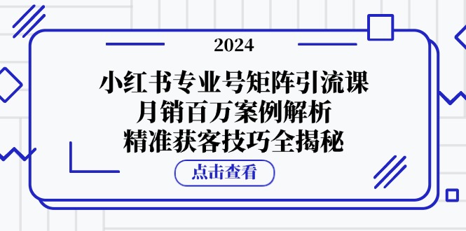 小红书专业号矩阵引流课，月销百万案例解析，精准获客技巧全揭秘-乐码云集