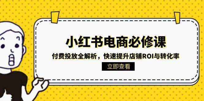 小红书电商必修课：付费投放全解析，快速提升店铺ROI与转化率-乐码云集