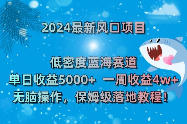 (8545期)2024最新风口项目 低密度蓝海赛道，日收益5000+周收益4w+ 无脑操作，保…-乐码云集