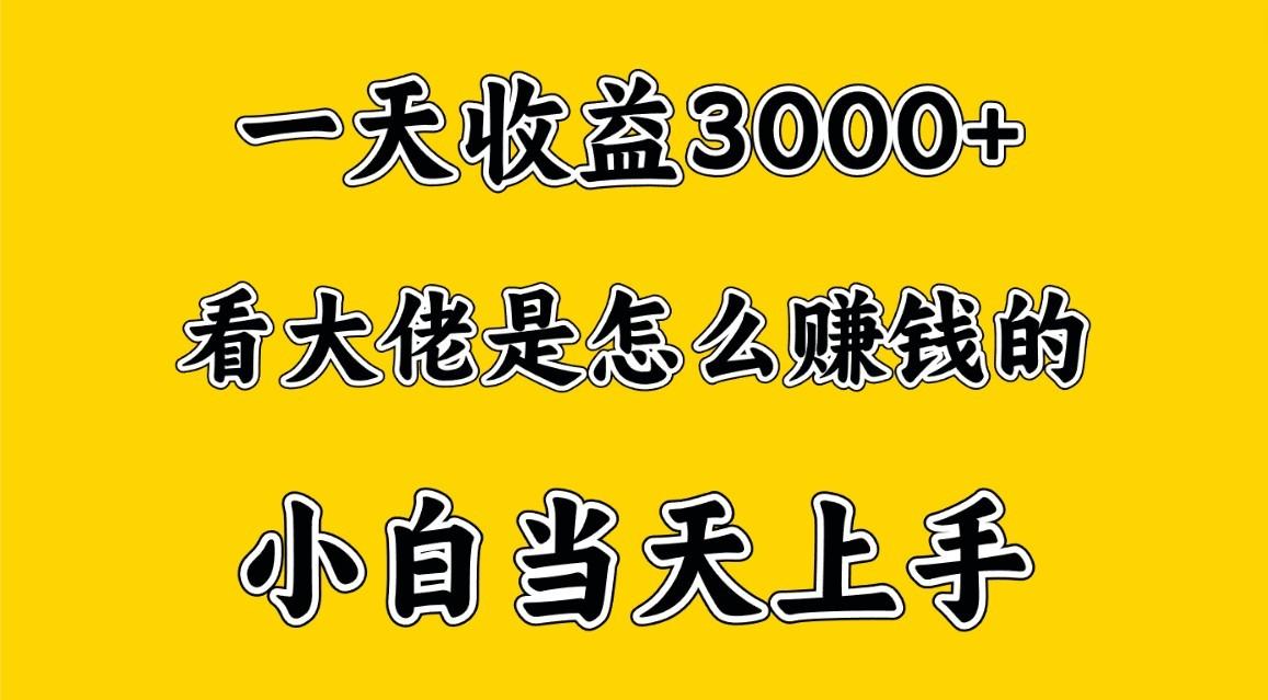 一天赚3000多，大佬是这样赚到钱的，小白当天上手，穷人翻身项目-乐码云集