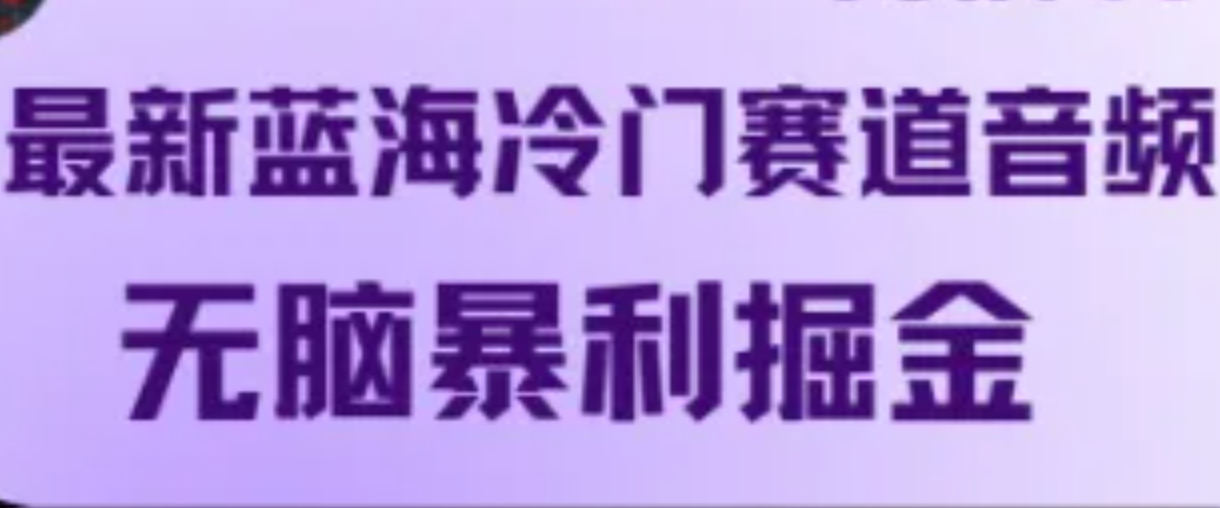 最新蓝海冷门赛道音频，无脑暴利掘金-乐码云集