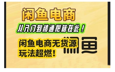 闲鱼电商实战课，从入门到精通秘籍在此，闲鱼电商无货源玩法超燃!-乐码云集