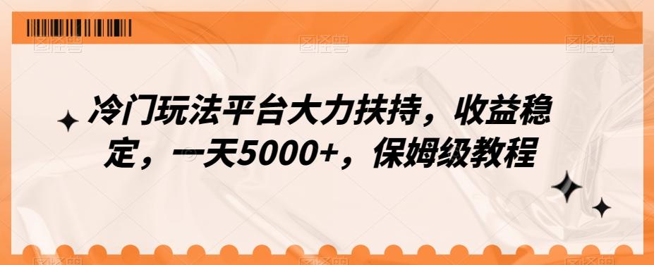 冷门玩法平台大力扶持，收益稳定，一天5000+，保姆级教程（附抖音7天起号法）-乐码云集