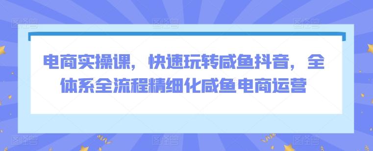 电商实操课，快速玩转咸鱼抖音，全体系全流程精细化咸鱼电商运营-乐码云集