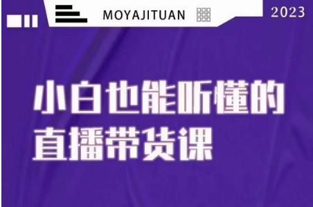 大威本威·能听懂的直播带货课，小白也能听懂，20节完整-乐码云集