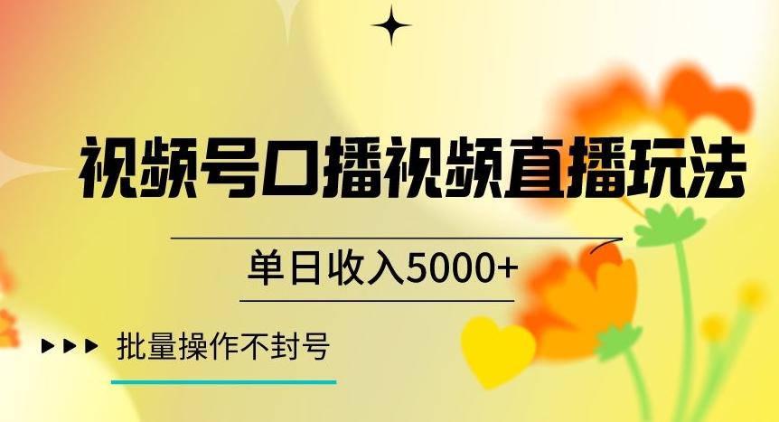 视频号囗播视频直播玩法，单日收入5000+，批量操作不封号【揭秘】-乐码云集