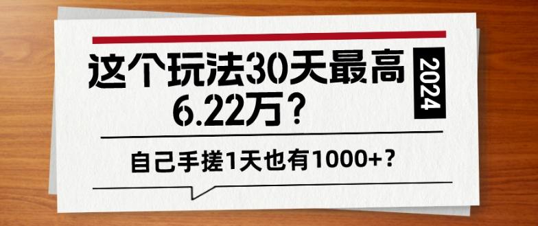 这个玩法30天最高6.22万？自己手搓1天也有1000+？-乐码云集