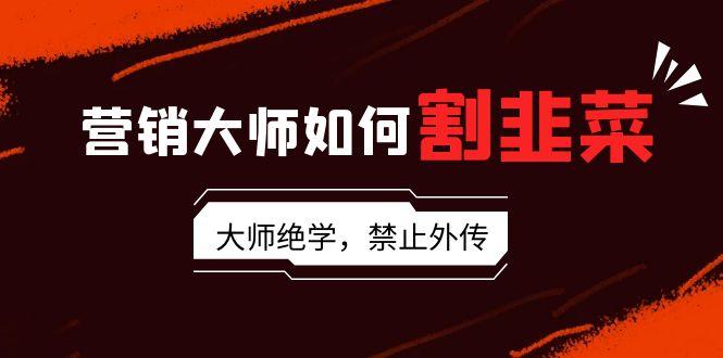 营销大师如何割韭菜：流量大师/讲故事大师/话术大师/卖货大师/成交大师/...-乐码云集