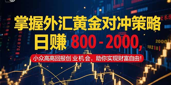 掌握外汇黄金对冲策略，日赚 800 - 2000，小众高回报创业机会，助你实...-乐码云集
