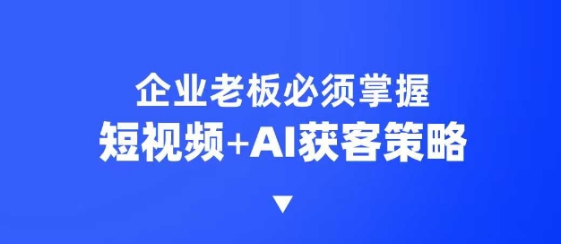 企业短视频AI获客霸屏流量课,6步短视频+AI突围法,3大霸屏抢客策略-乐码云集