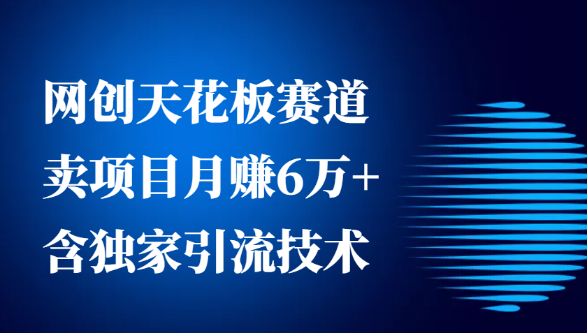 网创天花板赛道，卖项目月赚6万+，含独家引流技术(共26节课)-乐码云集