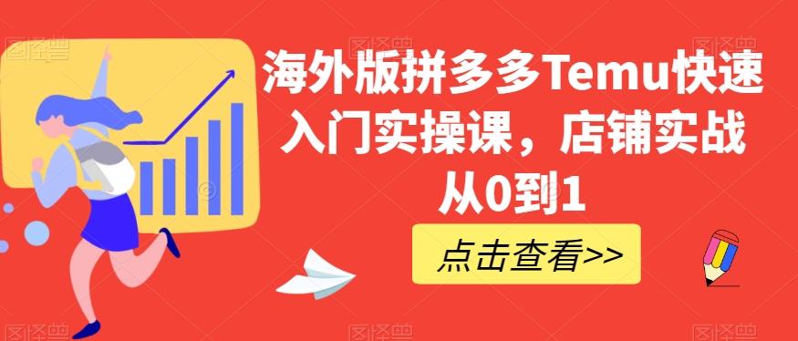 海外版拼多多Temu快速入门实操课，店铺实战从0到1-乐码云集