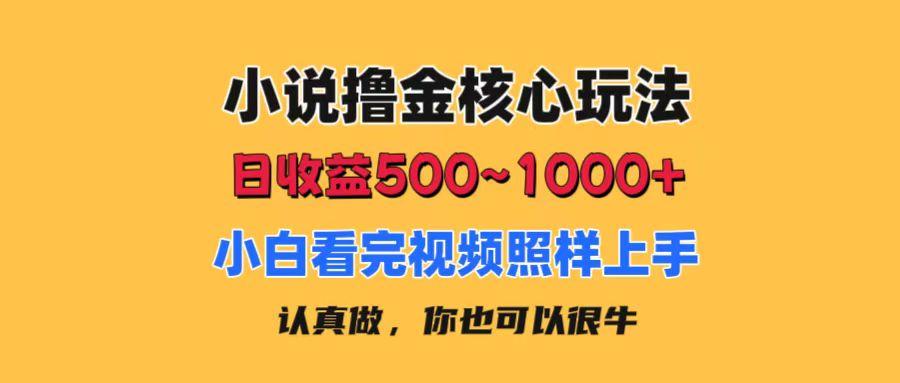 小说撸金核心玩法，日收益500-1000+，小白看完照样上手，0成本有手就行-乐码云集