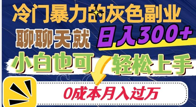 冷门暴利的副业项目，聊聊天就能日入300+，0成本月入过万【揭秘】-乐码云集