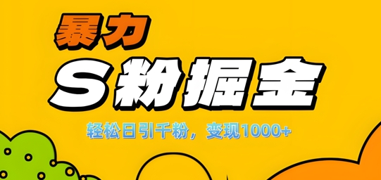 单人单机日引千粉，变现1k+，S粉流量掘金计划攻略【揭秘】-乐码云集