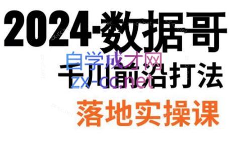 数据哥·2024年千川前沿打法落地实操课-乐码云集