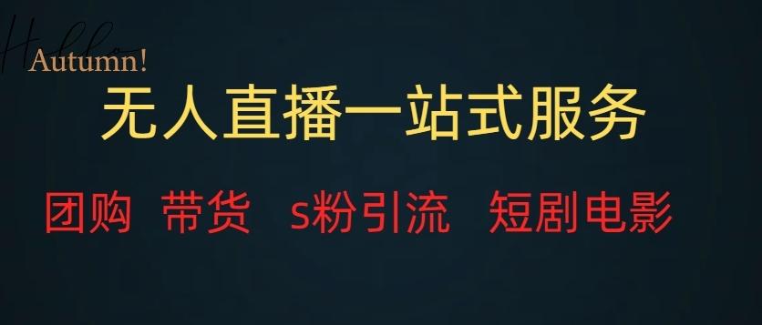 无人直播一站式服务（教程以及变现方式）-乐码云集