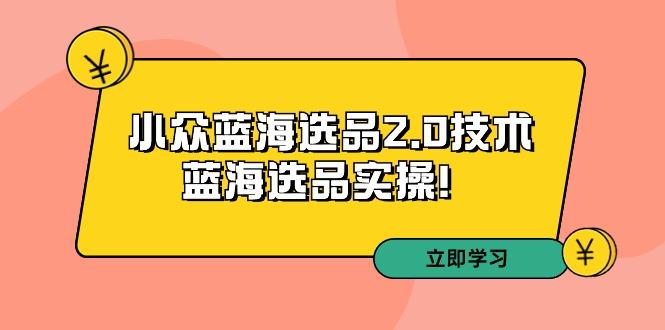 拼多多培训第33期：小众蓝海选品2.0技术-蓝海选品实操！-乐码云集