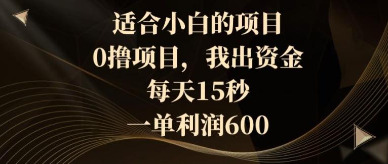 适合小白的项目，0撸项目，我出资金，每天15秒，一单利润600-乐码云集