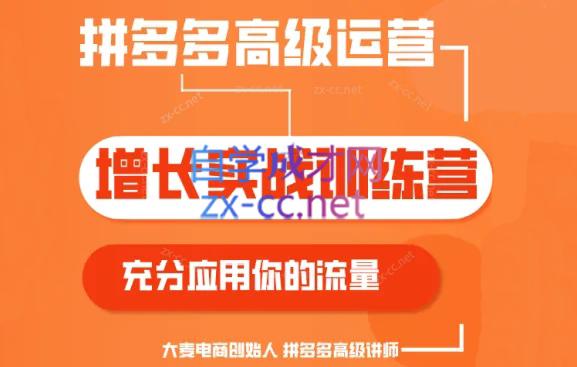 大麦老师·拼多多单品爆款打造课程(更新6月)-乐码云集
