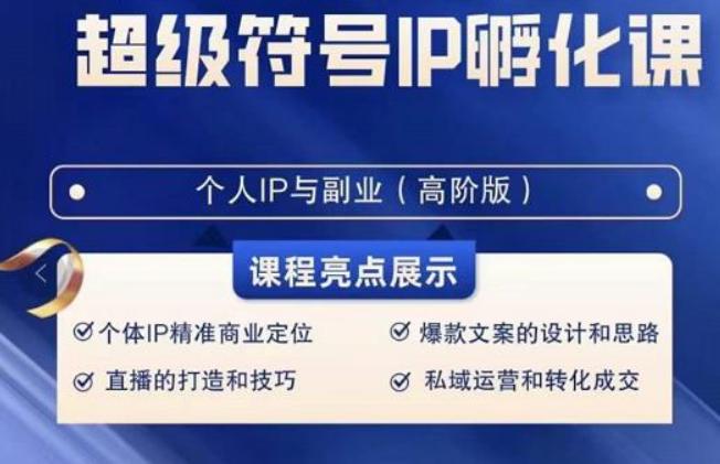 超级符号IP孵化高阶课，建立流量思维底层逻辑，打造属于自己IP（51节课）-乐码云集