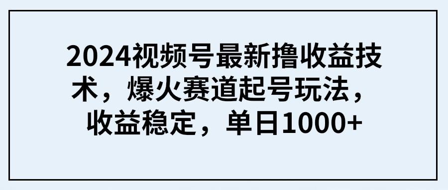 (9651期) 2024视频号最新撸收益技术，爆火赛道起号玩法，收益稳定，单日1000+-乐码云集