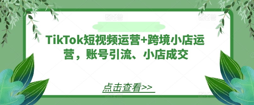 TikTok短视频运营+跨境小店运营，账号引流、小店成交-乐码云集