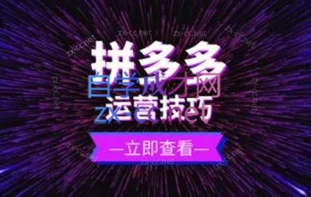 力辛电商·拼多多强付费店群玩法-乐码云集