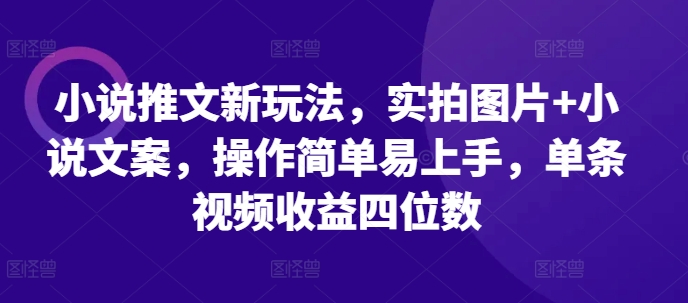 小说推文新玩法，实拍图片+小说文案，操作简单易上手，单条视频收益四位数-乐码云集