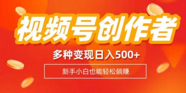 视频号创作者计划，多种变现方式，日入500+【内附1080g视频素材】-乐码云集