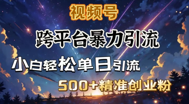 跨平台暴力引流，私域完美闭环，日引500+精准创业粉-乐码云集