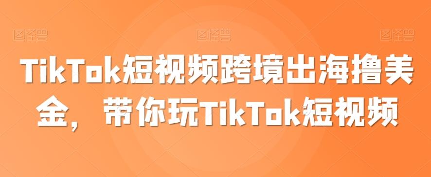 TikTok短视频跨境出海撸美金，带你玩TikTok短视频-乐码云集