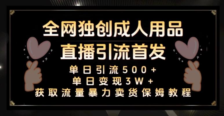 全网独创真人主播+无人直播单日引流500+，橙人用品暴力卖货单日变现3W+保姆似教学2.0【揭秘】-乐码云集