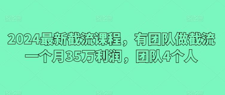 2024最新截流课程，有团队做截流一个月35万利润，团队4个人-乐码云集