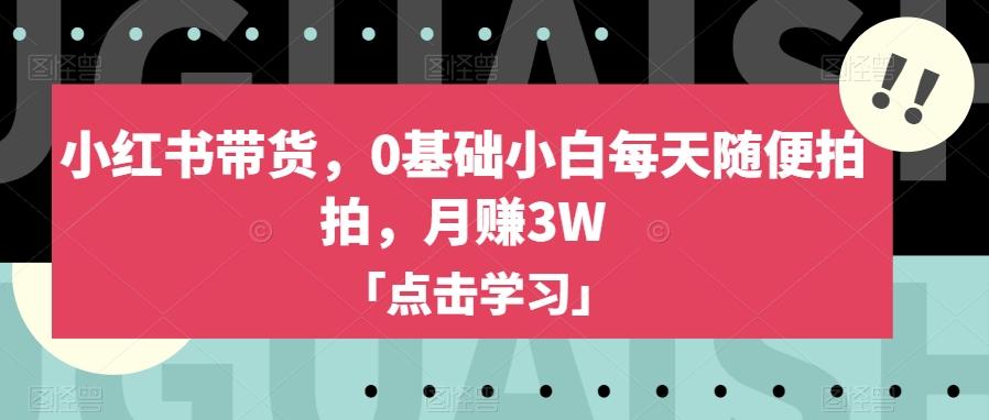 小红书带货，0基础小白每天随便拍拍，月赚3W【揭秘】-乐码云集