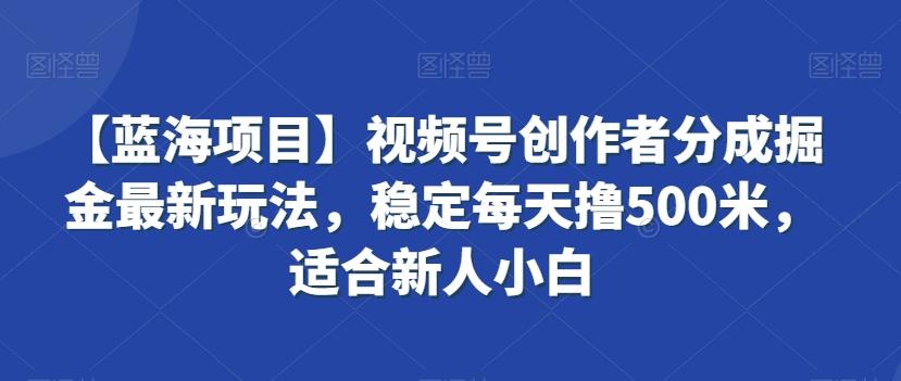 【蓝海项目】视频号创作者分成掘金最新玩法，稳定每天撸500米，适合新人小白【揭秘】-乐码云集