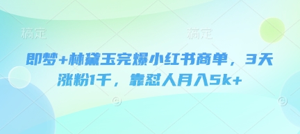 即梦+林黛玉完爆小红书商单，3天涨粉1千，靠怼人月入5k+-乐码云集