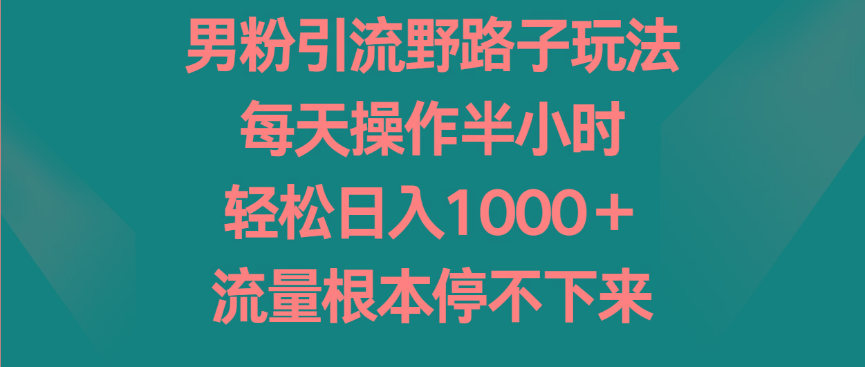 男粉引流野路子玩法，每天操作半小时轻松日入1000＋，流量根本停不下来-乐码云集