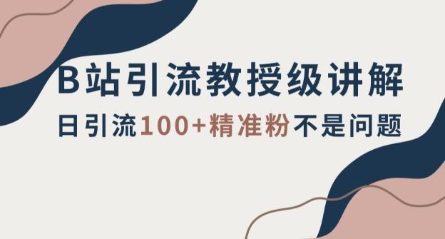 B站引流教授级讲解，细节满满，日引流100+精准粉不是问题【揭秘】-乐码云集