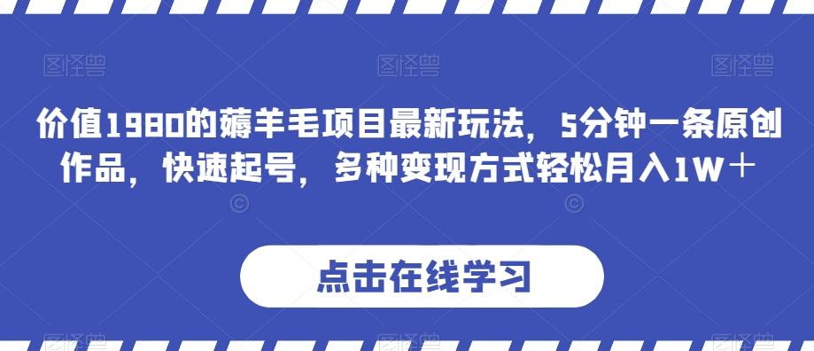 价值1980的薅羊毛项目最新玩法，5分钟一条原创作品，快速起号，多种变现方式轻松月入1W＋【揭秘】-乐码云集