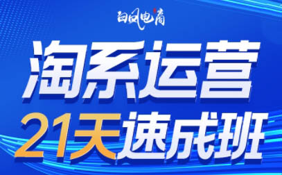 淘系运营21天速成班(更新9月)-乐码云集