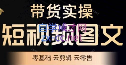 鑫哥·2024零基础短视频带货实操营-乐码云集