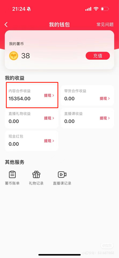 热门评论引爆小红书流量，作品制作简单，广告接到手软，月入过万不是梦-乐码云集