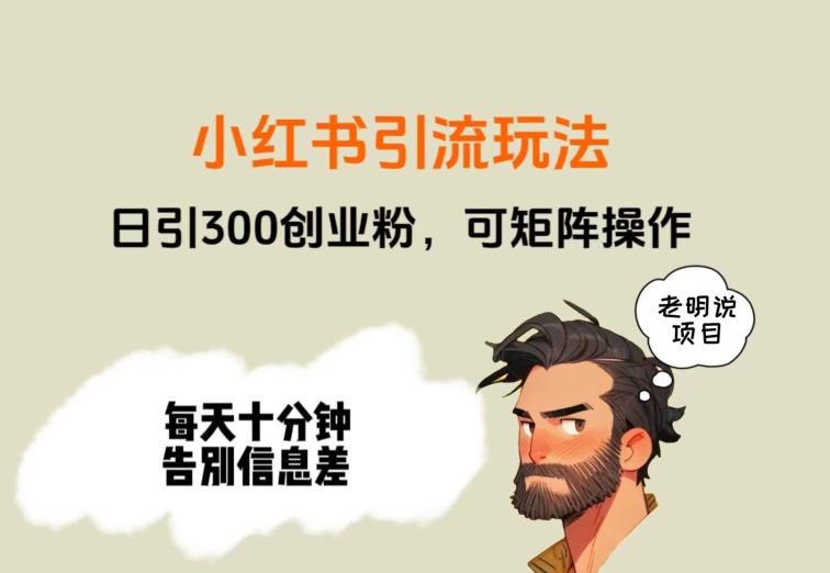 靠小红书视频日印300粉，两分钟一个视频轻松矩阵-乐码云集