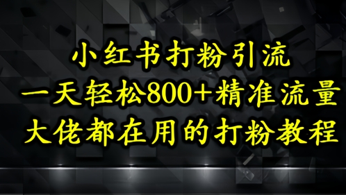 小红书打粉引流，一天轻松500+精准流量，大佬都在用的打粉教程-乐码云集