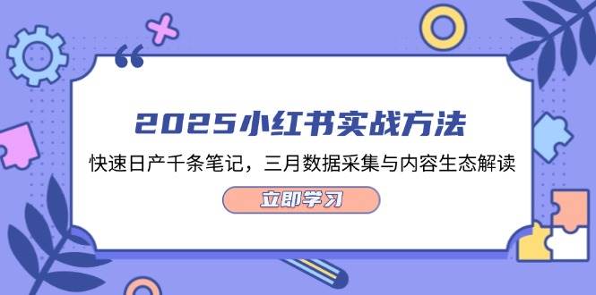2025小红书实战方法，快速日产千条笔记，三月数据采集与内容生态解读-乐码云集