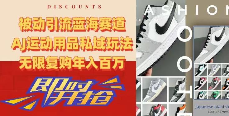 被动引流蓝海赛道，AJ运动用品私域玩法，无限复购年入百万【揭秘】-乐码云集