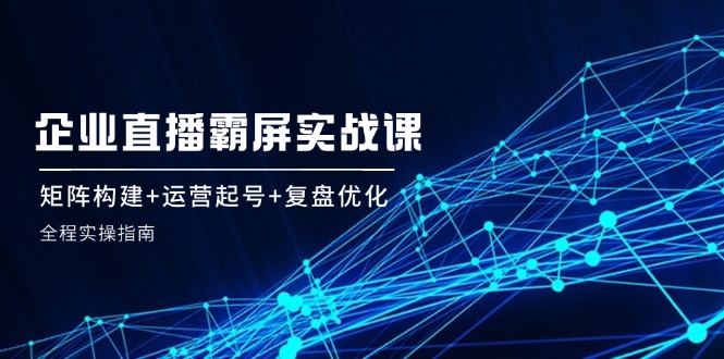企业直播霸屏实战课：矩阵构建+运营起号+复盘优化，全程实操指南-乐码云集